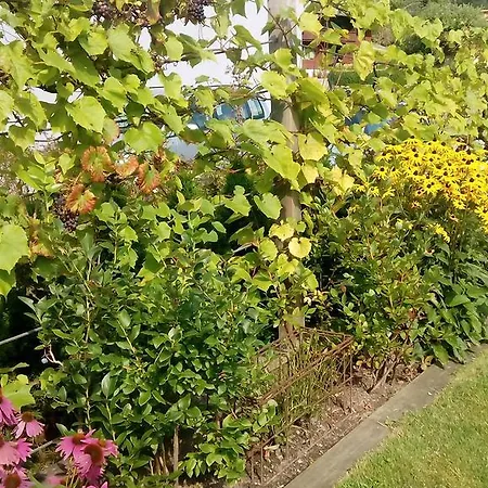 Natur Apartamento *