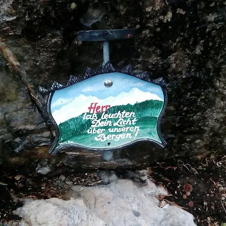 Natur Apartamento